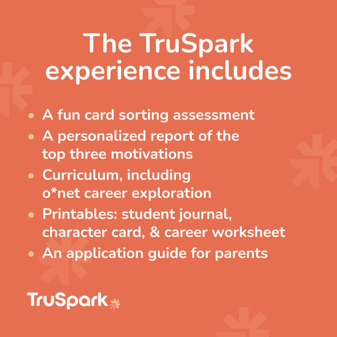TruSpark Curriculum + Assessment