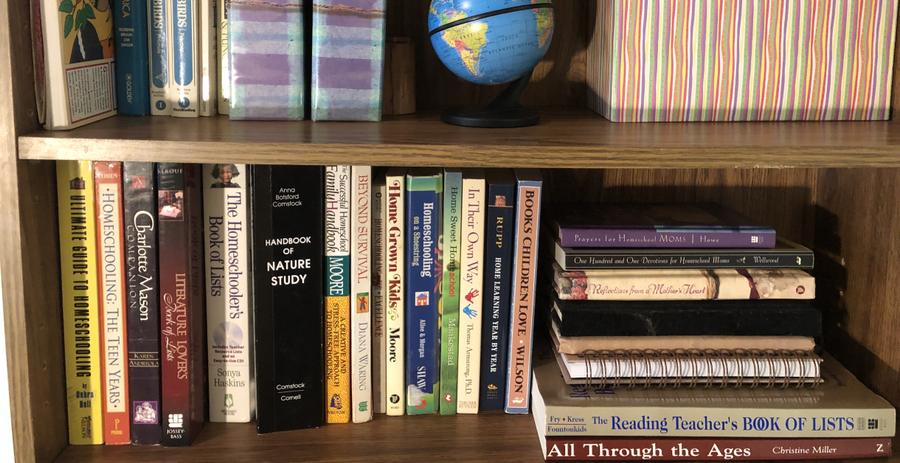 20 of My Favorite Homeschool Books