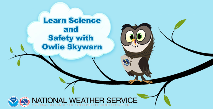 Freebie Friday  -  Learn about Weather with Owlie Skywarn
