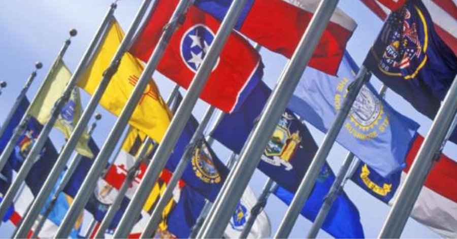 Freebie Friday - U.S. State Study