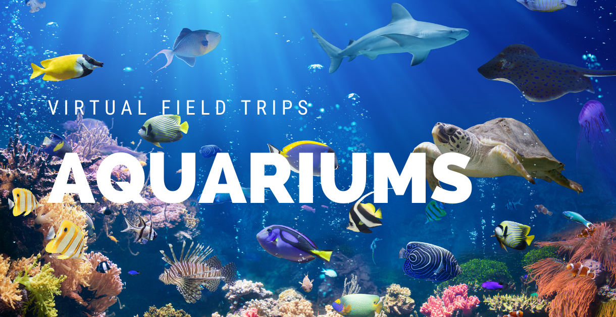 Freebie Friday  -  Virtual Field Trips  -  Aquariums