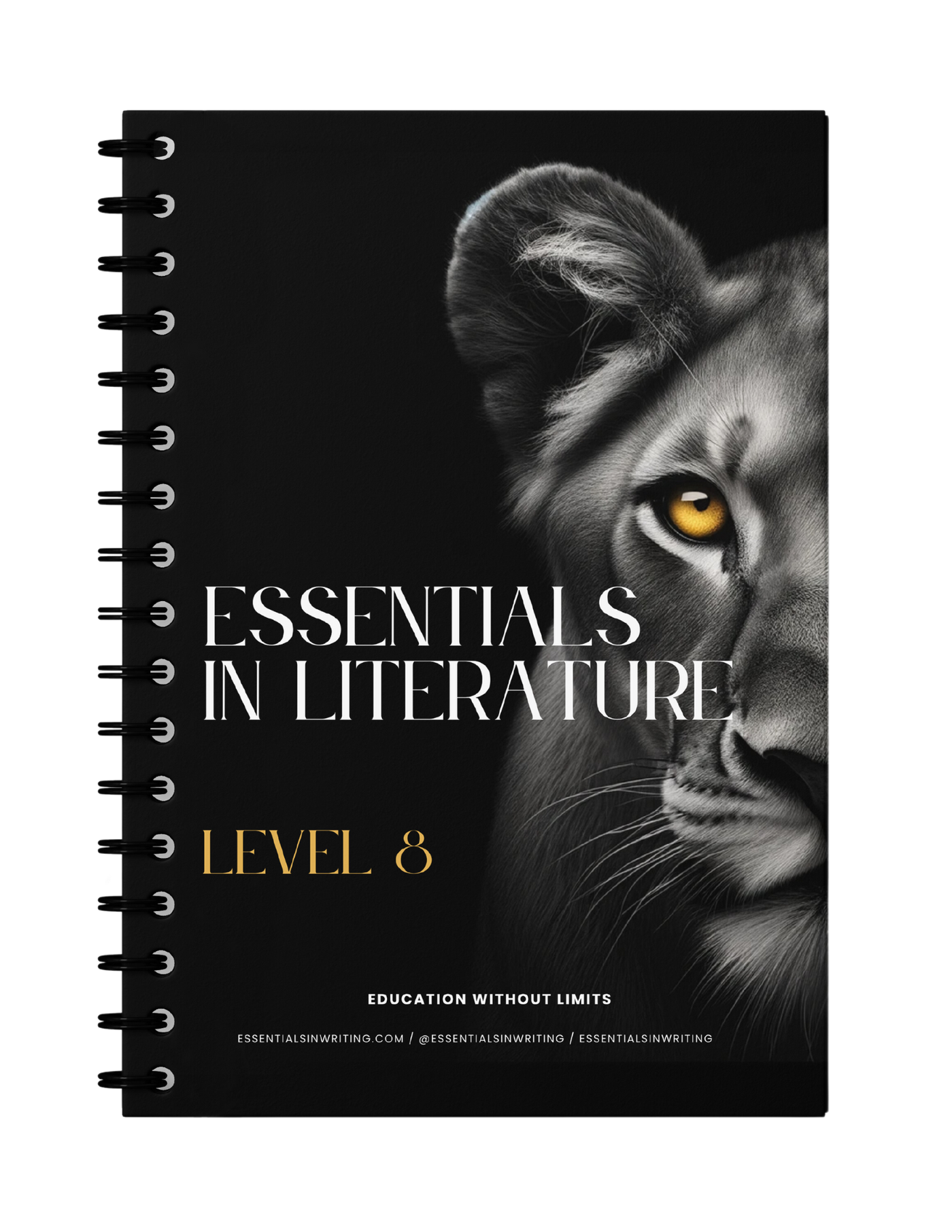 Level 8 Essentials in Literature Additional Student Workbook