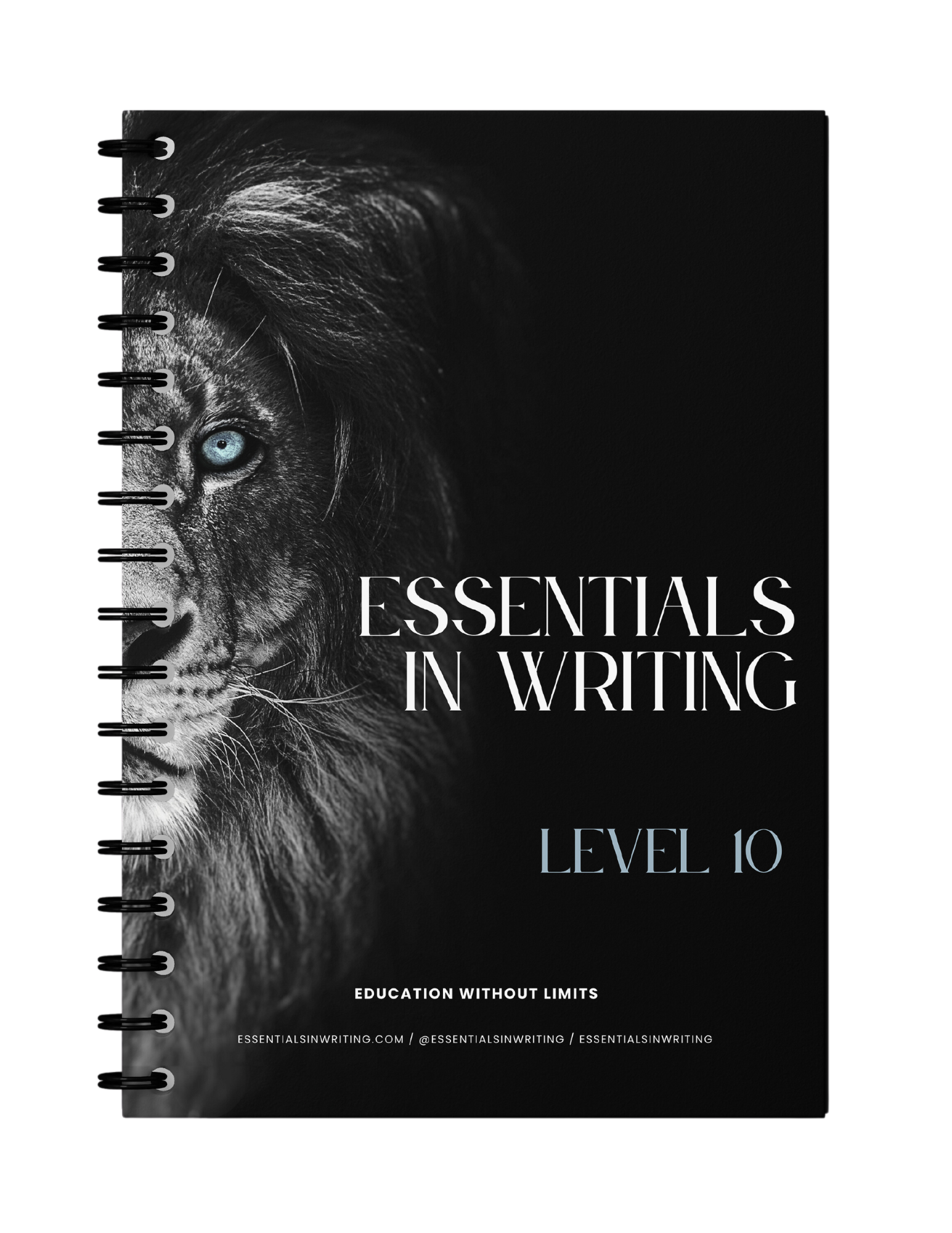 10th Grade Essentials in Writing Additional Student Workbook