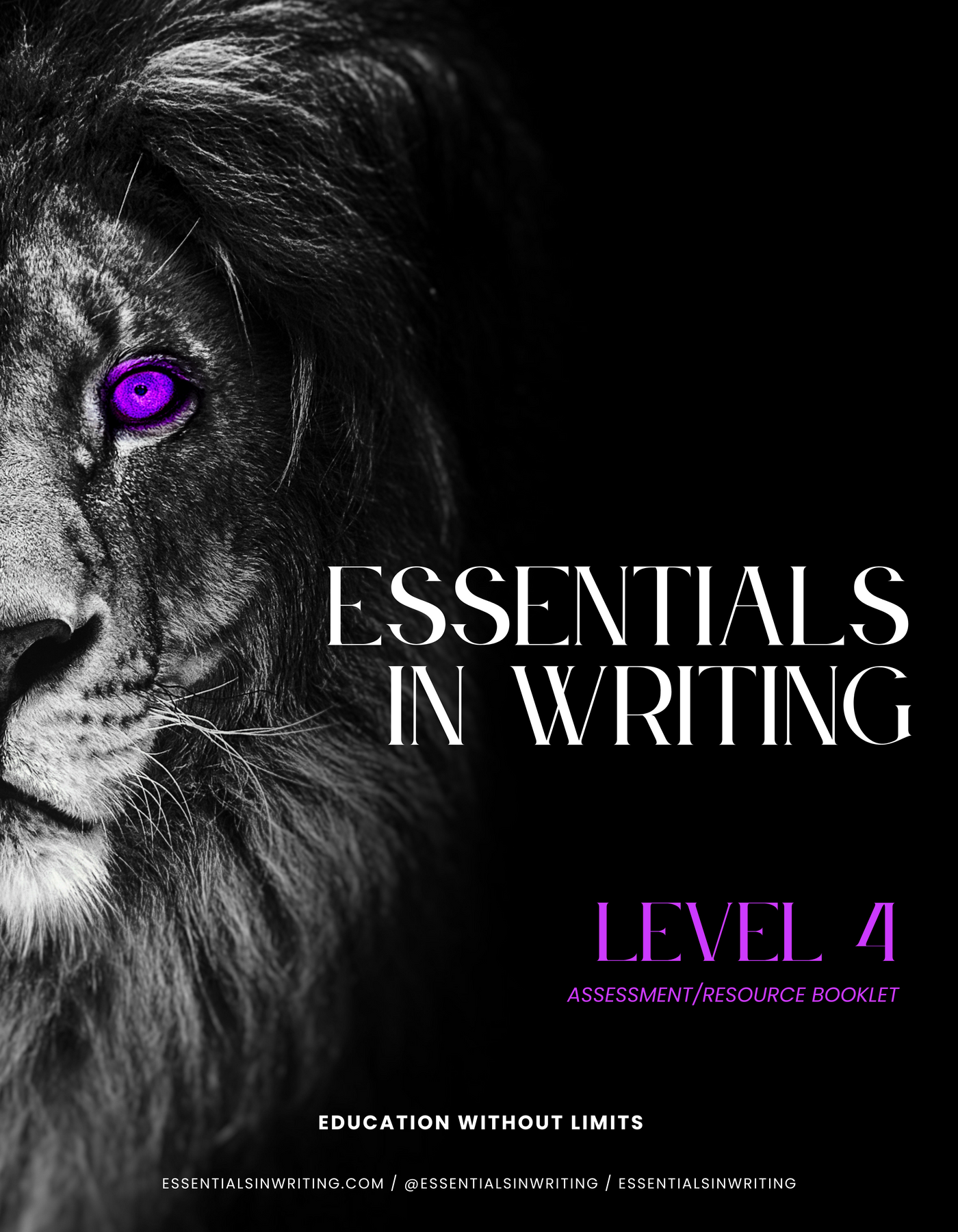 Level 4 Essentials in Writing Resource Book Second Edition