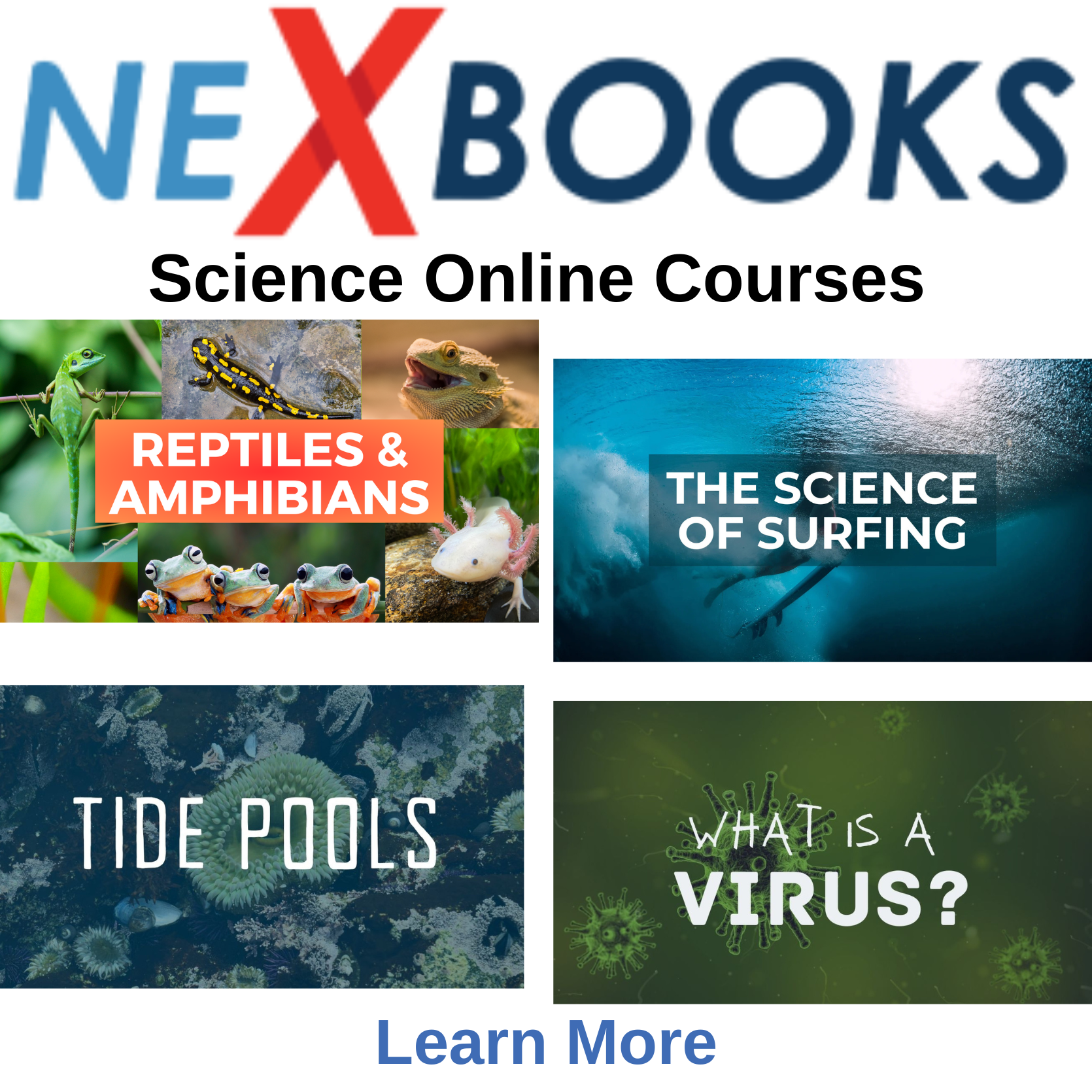 Nexbooks Science Courses (Individual Course)