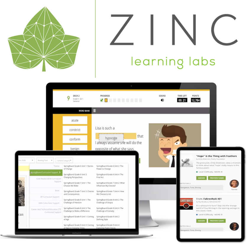 Zing Lab 6th - 12th Grade Zinc Learning Labs Annual Student Subscription