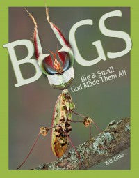 Bugs Big & Small