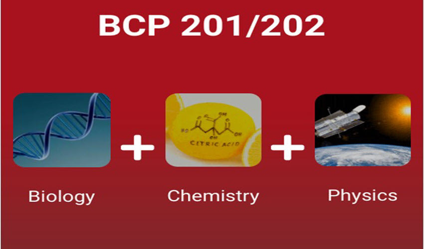 Bio-Chem-Physics 201/202 Bundle Annual Subscription