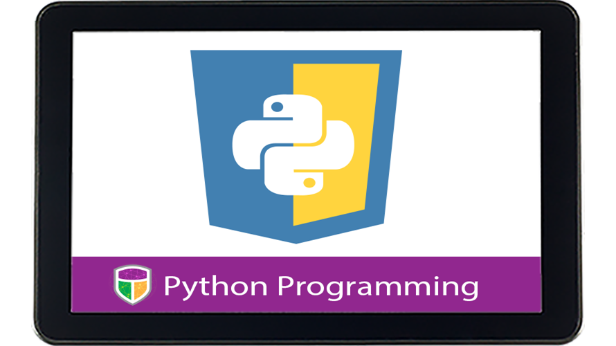 Python Programming Annual Subscription